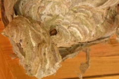 p1020111
