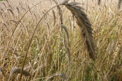 p1020114