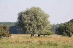 dscn5332