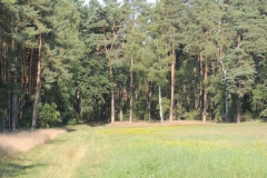 dscn5337