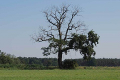 dscn5339