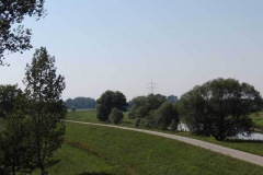 dscn5347