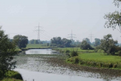 dscn5351