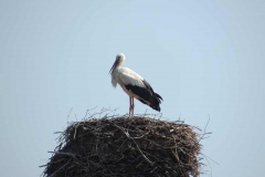 dscn5357