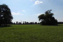 dscn5372