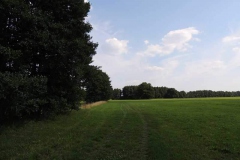 dscn5374
