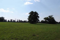 dscn5375