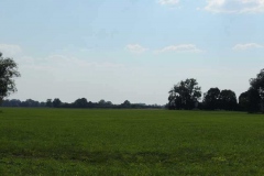 dscn5376