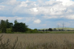36