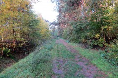 IMG_0004