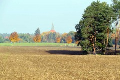 IMG_0008