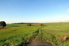IMG_0009