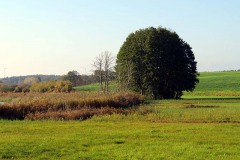 IMG_0011