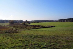 IMG_0014