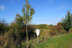 IMG_0020
