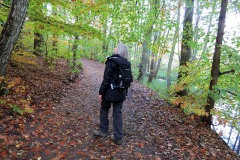 IMG_0031
