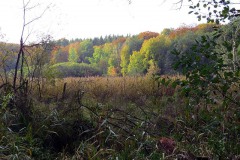 IMG_0034
