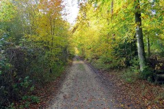 IMG_0047