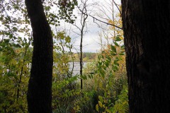 IMG_0055