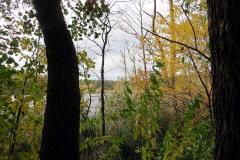 IMG_0056
