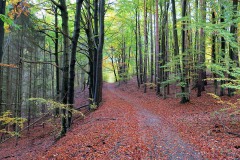 IMG_0057