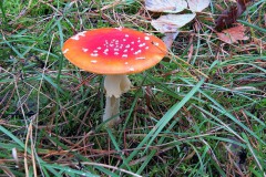IMG_0058