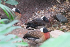 img_1044_copy