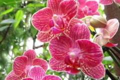 img_1068_copy img_1068_copy