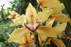 img_1076_copy