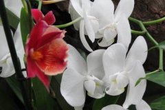 img_1094_copy img_1094_copy