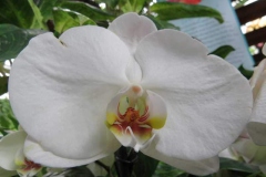 img_1097_copy
