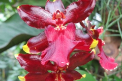img_1108_copy img_1108_copy
