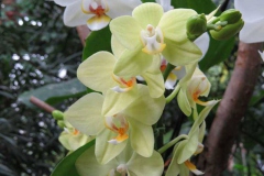 img_1109_copy img_1109_copy