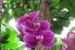 img_1113_copy img_1113_copy