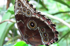 img_1117_copy img_1117_copy