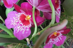 img_1125_copy img_1125_copy