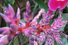 img_1127_copy img_1127_copy