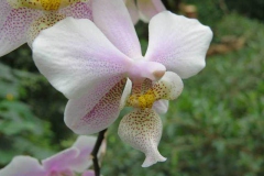 img_1154_copy img_1154_copy