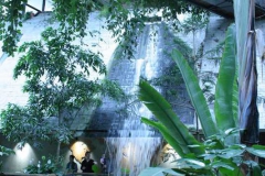 img_8205_copy img_8205_copy