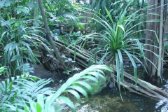 img_8211_copy img_8211_copy