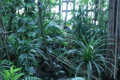img_8216_copy img_8216_copy