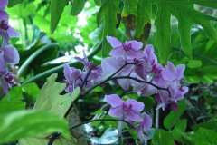 img_8228_copy img_8228_copy
