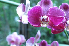 img_8245_copy