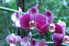 img_8248_copy
