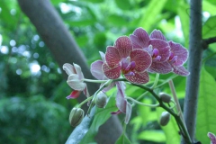 img_8257_copy