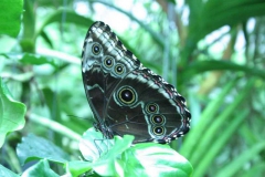 img_8364_copy