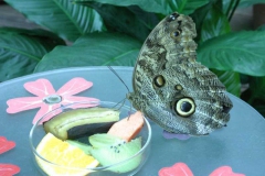 img_8373_copy