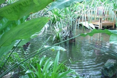 img_8497_copy img_8497_copy
