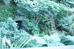 img_8558_copy img_8558_copy