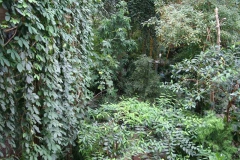 img_8591_copy img_8591_copy